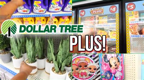 dollar tree with plus section|More.